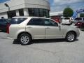 Gold Mist - SRX V6 Photo No. 5
