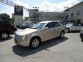 Gold Mist - SRX V6 Photo No. 43