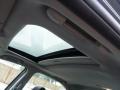 Carbon Gray Pearl - TSX Sedan Photo No. 16