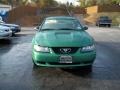 2001 Electric Green Metallic Ford Mustang V6 Coupe #82269874