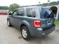 2010 Steel Blue Metallic Ford Escape XLT V6 4WD  photo #4