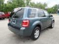 2010 Steel Blue Metallic Ford Escape XLT V6 4WD  photo #6