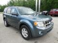 2010 Steel Blue Metallic Ford Escape XLT V6 4WD  photo #9