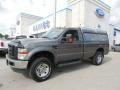 Sterling Grey Metallic 2009 Ford F250 Super Duty XL Regular Cab 4x4