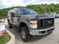 Sterling Grey Metallic - F250 Super Duty XL Regular Cab 4x4 Photo No. 6