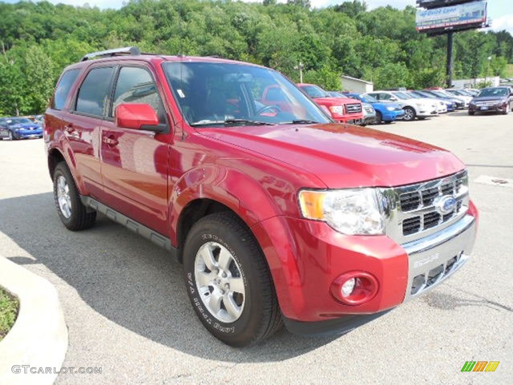 2010 Escape Limited V6 4WD - Sangria Red Metallic / Charcoal Black photo #5