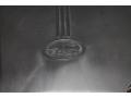 Silver Frost Metallic - Grand Marquis LS Photo No. 46