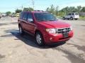 2011 Sangria Red Metallic Ford Escape XLT 4WD  photo #7