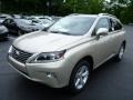 2013 Satin Cashmere Metallic Lexus RX 350 AWD  photo #8