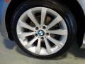 2011 Platinum Bronze Metallic BMW 3 Series 328i xDrive Sedan  photo #10