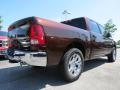 Western Brown Pearl - 1500 Big Horn Crew Cab Photo No. 3