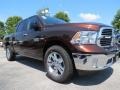 Western Brown Pearl - 1500 Big Horn Crew Cab Photo No. 4