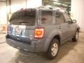 2010 Steel Blue Metallic Ford Escape Limited V6 4WD  photo #15