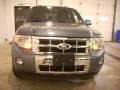2010 Steel Blue Metallic Ford Escape Limited V6 4WD  photo #20