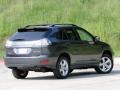 2004 Black Forest Green Pearl Lexus RX 330 AWD  photo #2