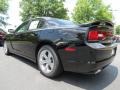 Pitch Black - Charger SE Photo No. 2