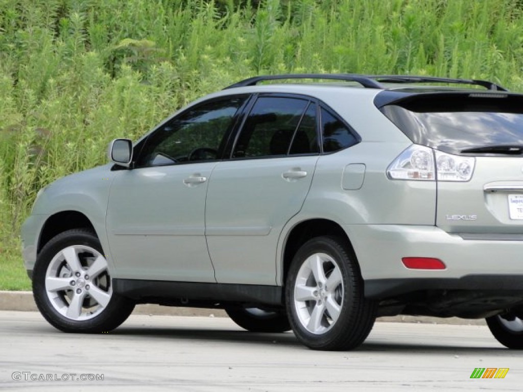 2006 RX 330 - Bamboo Pearl / Ivory photo #9