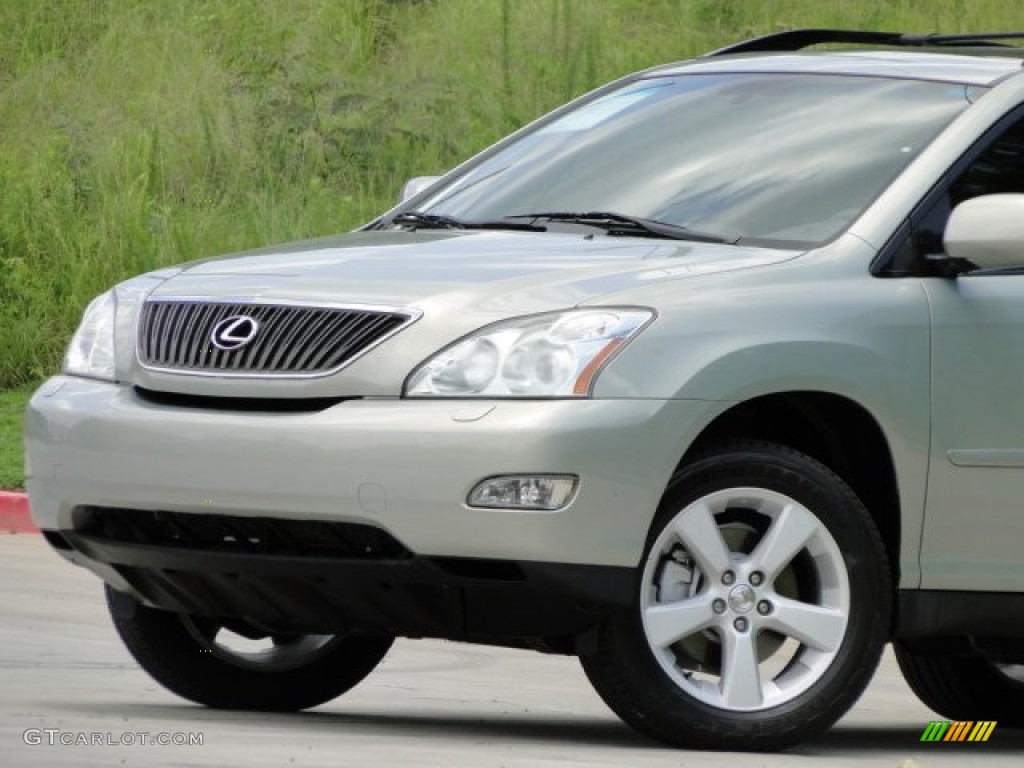 2006 RX 330 - Bamboo Pearl / Ivory photo #16