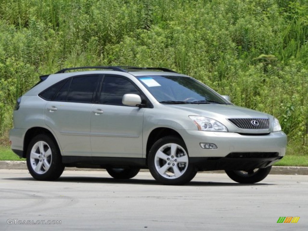 2006 RX 330 - Bamboo Pearl / Ivory photo #19