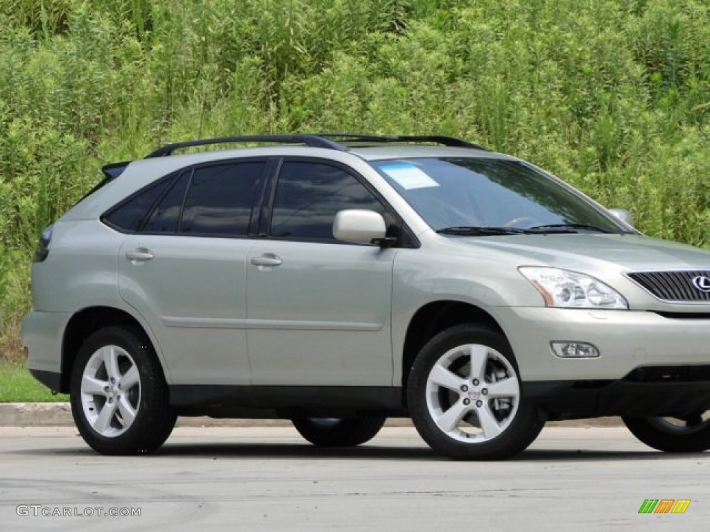 2006 RX 330 - Bamboo Pearl / Ivory photo #20