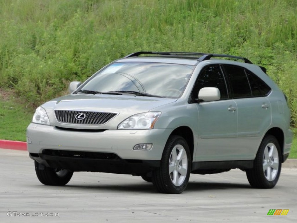 2006 RX 330 - Bamboo Pearl / Ivory photo #23