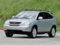 2006 Bamboo Pearl Lexus RX 330  photo #24