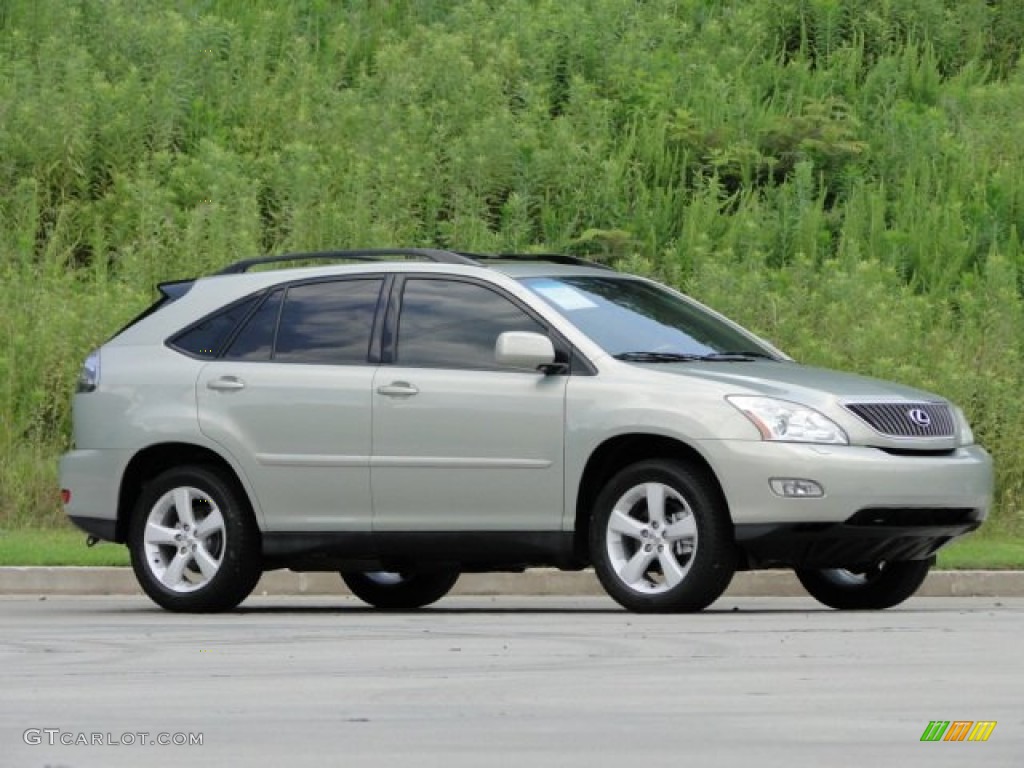 2006 RX 330 - Bamboo Pearl / Ivory photo #25