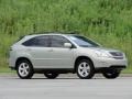 2006 Bamboo Pearl Lexus RX 330  photo #25