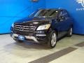 Black - ML 350 4Matic Photo No. 3