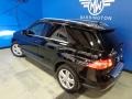 Black - ML 350 4Matic Photo No. 16
