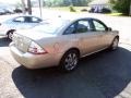 Dune Pearl Metallic - Taurus SEL Photo No. 2
