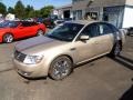 Dune Pearl Metallic - Taurus SEL Photo No. 5