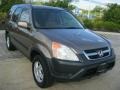 Mojave Mist Metallic - CR-V EX 4WD Photo No. 3