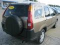 Mojave Mist Metallic - CR-V EX 4WD Photo No. 5
