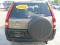 Mojave Mist Metallic - CR-V EX 4WD Photo No. 7
