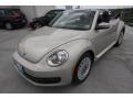Moonrock Silver Metallic - Beetle 2.5L Convertible Photo No. 3
