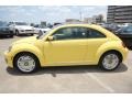 Yellow Rush - Beetle 2.5L Photo No. 4
