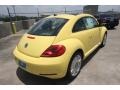 Yellow Rush - Beetle 2.5L Photo No. 7