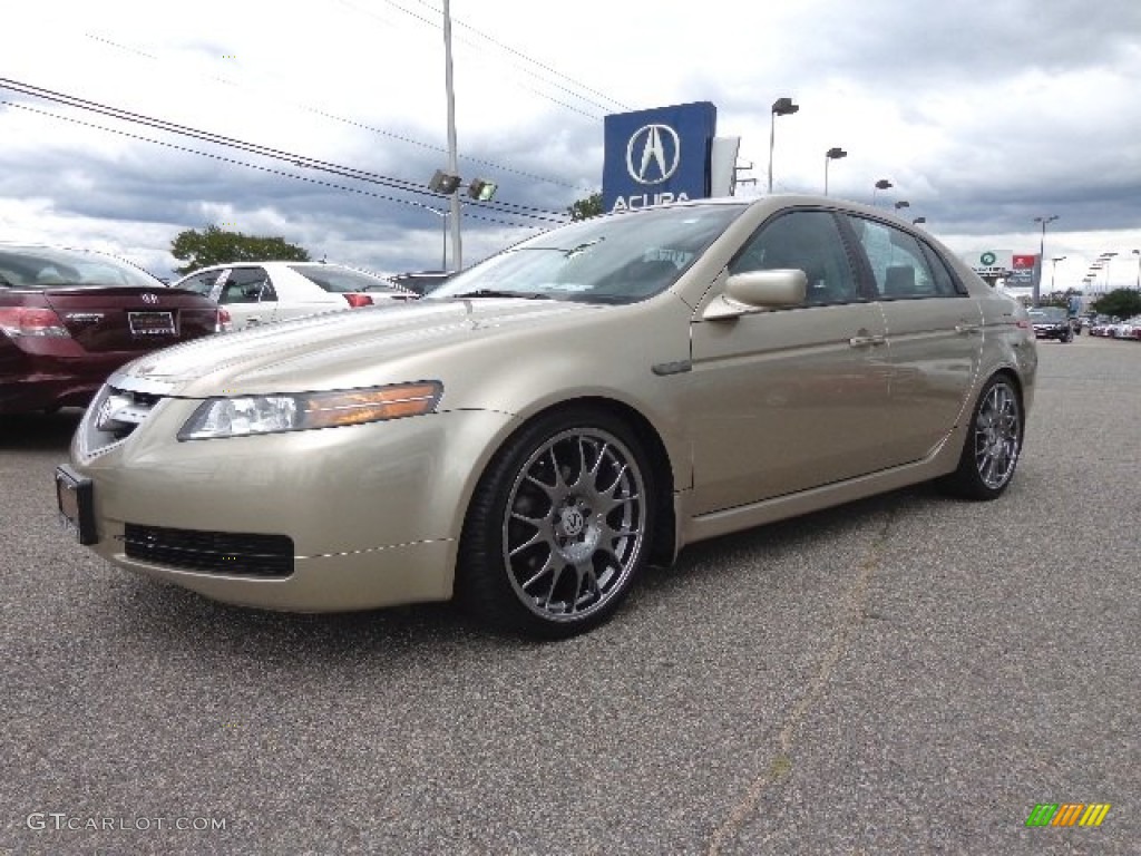 Desert Mist Metallic 2004 Acura TL 3.2 Exterior Photo #82355290