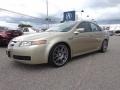 Desert Mist Metallic 2004 Acura TL 3.2 Exterior