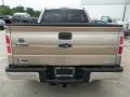 Pale Adobe Metallic - F150 XLT SuperCab Photo No. 5