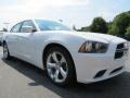 Ivory Pearl - Charger SE Photo No. 4