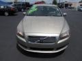 Shimmer Gold Metallic - S80 3.2 Photo No. 2