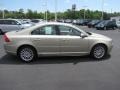 Shimmer Gold Metallic - S80 3.2 Photo No. 4