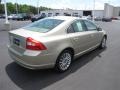 Shimmer Gold Metallic - S80 3.2 Photo No. 5