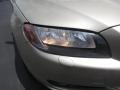 Shimmer Gold Metallic - S80 3.2 Photo No. 10