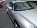 2008 Arctic Silver Metallic Porsche Cayman S  photo #25