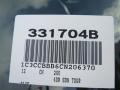 Blackberry Pearl Coat - 200 Touring Sedan Photo No. 18