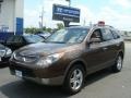 2011 Sahara Bronze Metallic Hyundai Veracruz Limited AWD  photo #1