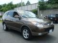 2011 Sahara Bronze Metallic Hyundai Veracruz Limited AWD  photo #3